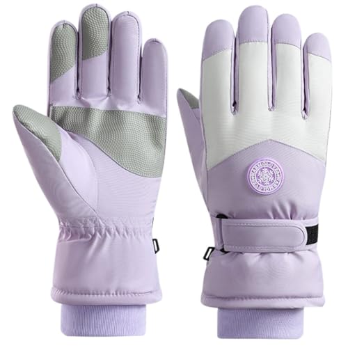 XL[O[u h ^b`XN[Ή ϋv ۉ h h [fB[XFp[v] y6