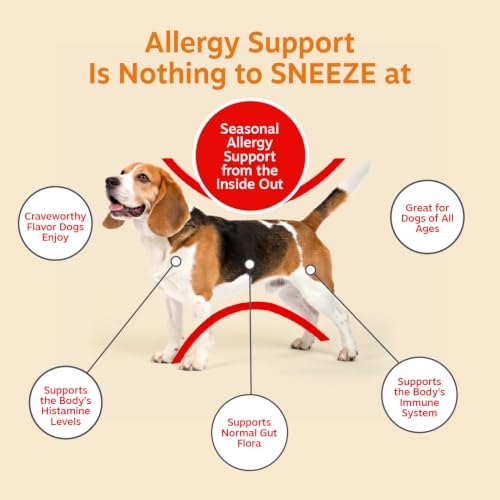 Image of Zesty Paws Dog Allergy Chews - Dog Allergy Relief, Peanut Butter, 90 Ct