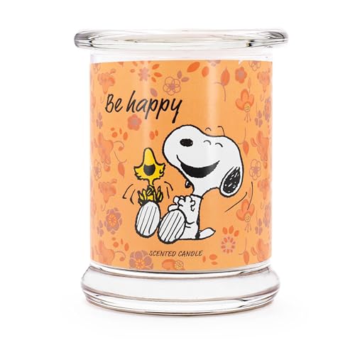 Peanuts Idée cadeau (Be Happy)