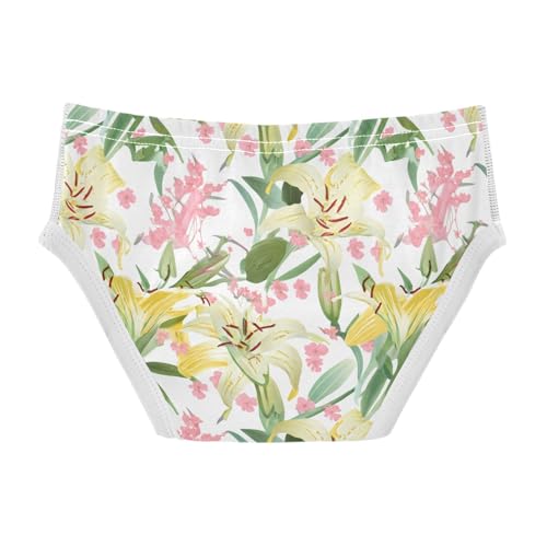 Lilies Delicate Pink Blossoms Toddler Boy's Underwear 2T 202c14562