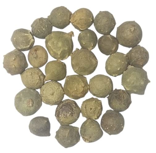 BUDHAN MASIKKAI 250gm / Mayphal/Quercus Infectoria/Majakani/Dyers Oak/Gullnuts/olive Machikaya/Katala Mayu/Masikkai/?????? / Oak Gull/Majuphal/magic nut/gallnut