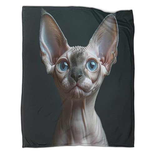 Plaid microfibre anti-froid chat Sphynx couverture douce 3D - 3