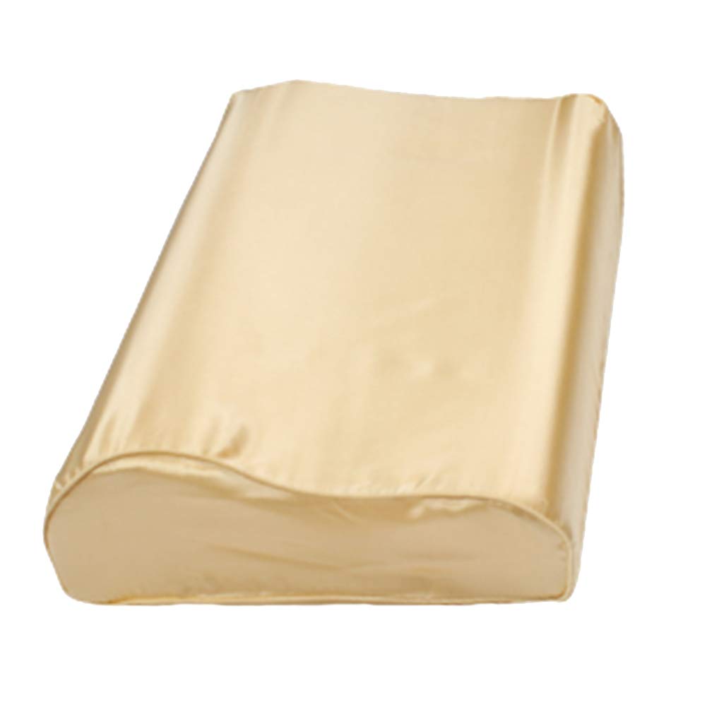 19 Momme Funda de Almohada de Seda para Almohada de Espuma viscoelástica, Funda de Almohada de Pura Seda de Morera para Almohada Cervical Contour Pillow (53 x 36 x 12 cm / 10 cm, champán)