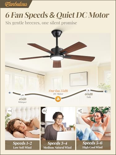 Image of Fanbulous 42 Inch Ceiling Fans with Lights and Remote, Stepless Color Temperature Change & Dimmable 20W LED Ceiling Fan, 6 Speeds Reversible Quiet DC Motor for Bedroom, Living Room, Apartment,Black