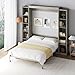 Rophefx Queen Murphy Bed Cabinet with 5-Tier Adjustable Storage Shelves, Queen Wall Bed Cabinet Bed, Wood Space Saving Beds, Foldable Platform Beds, Hidden Bedframe for Guest Room, Bedroom,Grey