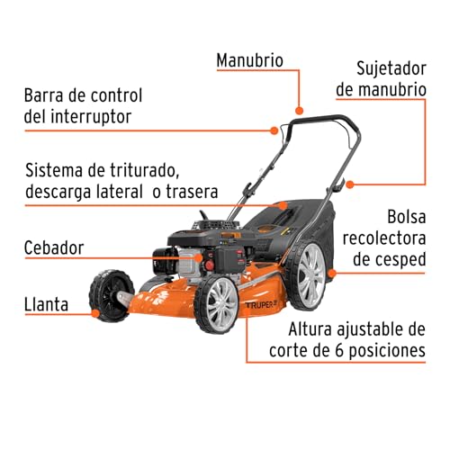 Imagen adicional
