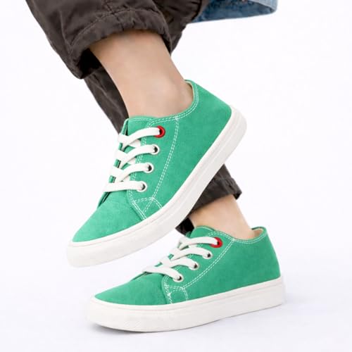 Image of toothless Canvas Shoes | Lace-Up Closure | Durable Canvas Upper | Cushioned Sole | Everyday Casual Wear for Kids