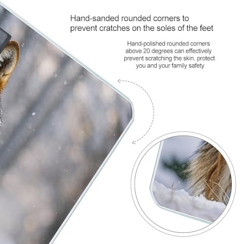 Báscula digital de baño con vidrio templado Wolf miniatura 4