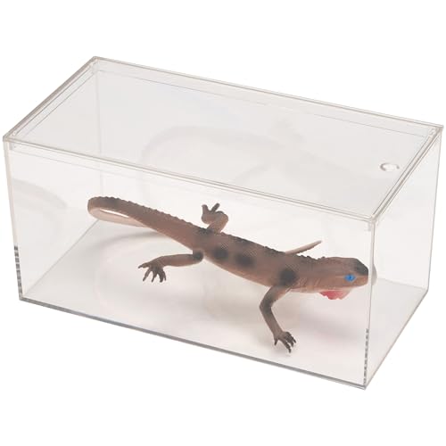 View 4