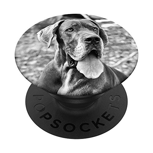 Divertido regalo de diseño vintage para los amantes de los perros PopSockets PopGrip Intercambiable