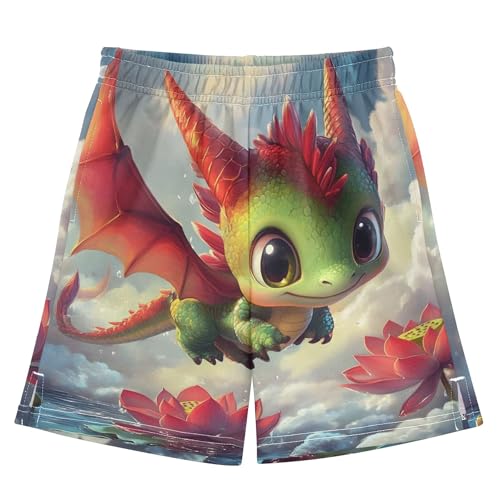 Cute Dragon Animal Print Shorts Summer for Boys Elastic Waist Sweat Shorts Print Outdoor Trunks 7-8
