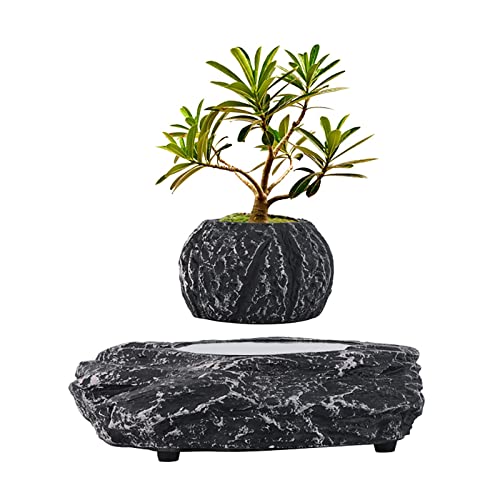KIMESS Creativo Maceta Flotante Levitante para Plantas De Aire, Jardineras Flotantes Giratorias Magnéticas, Reducir Ansiedad, Decoración De La Oficina En Casa Frio Artilugios Tecnológicos Cover