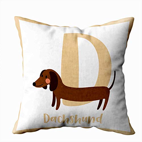 TOMWISH Fundas de almohada decorativas de 20 x 20 pulgadas, diseño de animales del zoológico, letras del alfabeto, perro salchicha, para aprender inglés, ilustración D, funda de cojín decorativa para