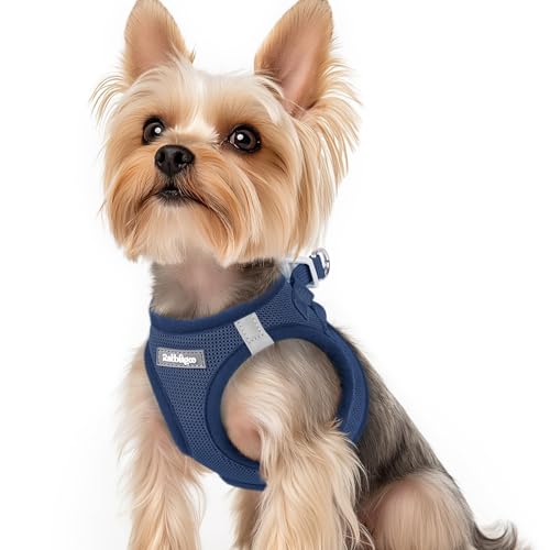 rabbitgoo Pettorina Cane Taglia Piccola Blu Scuro XS, Imbracatura per Cani Regolabile in Rete Morbida Traspirante, Fcile da Indossare, Pettorina per Cani Piccoli Riflettente per Passeggiate Corsa