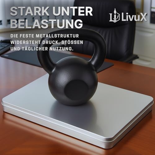 LivuX 2x DIN A4 Metall Dokumenten Aufbewahrungsbox mit Klappdeckel – L31 x B22 x H2,25 cm, stabile Flache Blech-Dose für Fotos, Schutzbox für Urkunden & Unterlagen, Rostfrei, stapelbar, langlebig 1002