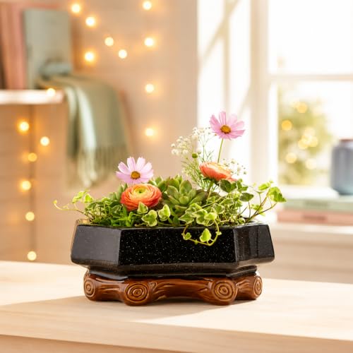 Image of Xtore Refined Rustic Ceramic Bonsai Planter Pot for Indoor & Tabletop Decor | Handcrafted Wide Bowl with Wooden Base Stand for Succulents, Zen Gardens & Home Styling (Pack of 1,Planter Only)