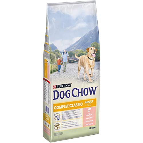 Dog Chow Aliment Complet Classic avec Saumon pour Chien, bleu et beige, 14 kg (Lot de 1)