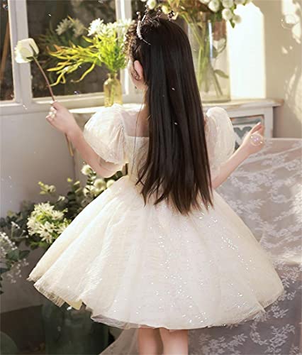 Princess Girls Pageant Tutu Fluffy Dress Bling Sequin Puff Short Sleeve Flower Girl Ball Gown4