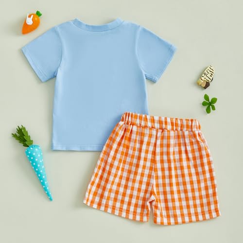 Image of Toddler Baby Boy Easter Rabbit Outfit Short Sleeve Bunny Carrot Smocked T-shirt Elastic Waist Shorts Summer Clothes
