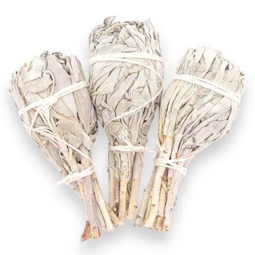 Yerbero - 3 Premium 4'' Torch Style White Sage Smudging Sticks | Sahumerio Antorcha Salvia | 3 Hand Tied For Home Spiritual Blessing Positive Energy Harmony & Meditation. #TOP10