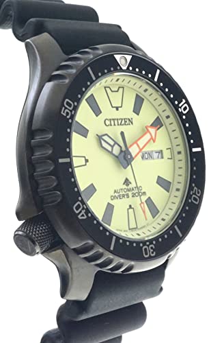 ナウオアネバー　20th デュエルマスターズ 天命龍装ホーリーエンド/ナウオアネバー