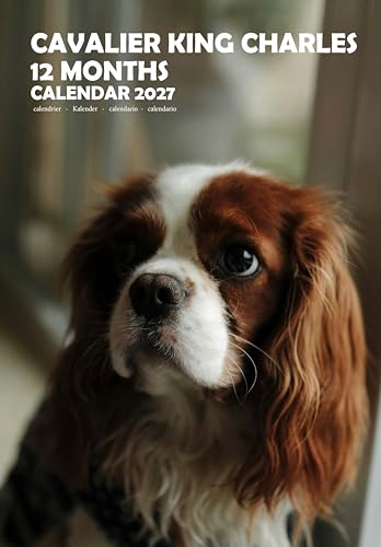 Calendario 2027 Cavalier King Charles A3 con espiral para pared