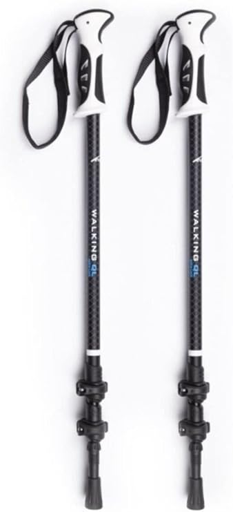 Evolite Walking Quick-Lock Dıştan Kilitli Trekking Batonu