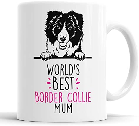 Carson The Chow, Akita, Husky, Border Collie Mix - View #4