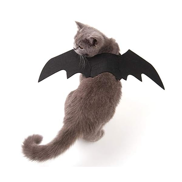 Pet cat bat wings for halloween, cosplay bat wing costume decoration for puppy dog cat - image 3