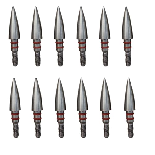 100/125/150/200 Grains Archery Field Points Practice Field Tips, Stainless Steel Archery Target Practice Hunting Arrow Tip for Recurve, Compound Bow Crossbow, Screw in Broadheads (5/16â€³-100grains)