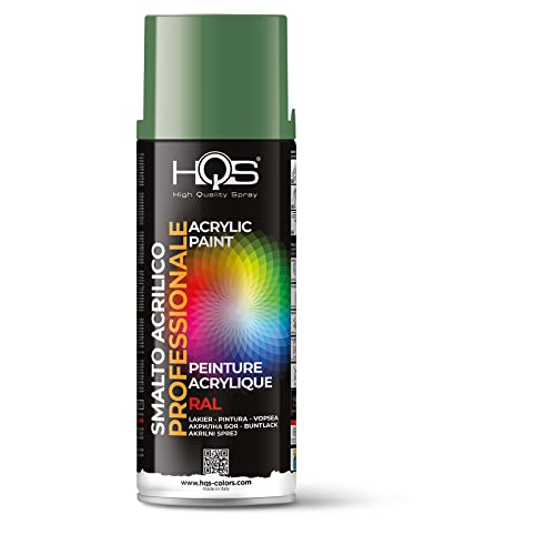 Hqs Bomboletta Di Vernice Spray Acrilica Colori Ral (Ral 6011 Verde Reseda)
