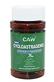 CAW Anti Aging Supplement Nano Cycloastragenol 25mg 30capsules