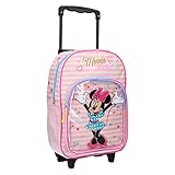 Gesamtmaße: 47 x 27 x 14 cm (mit Rollen und Griff), Teleskopgriff: 77 cm