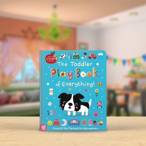 Image of The Toddler Play Book of Everything!