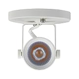 Arcfox 9W 3000K LED Flush Mount Ceiling Spotlight Fixture Adjustable Round Track Lighting for Living