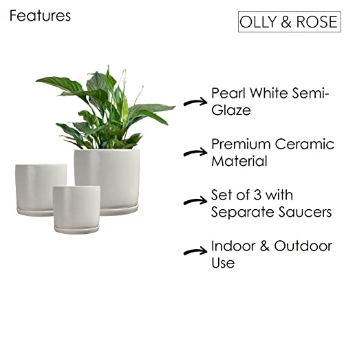 Olly & Rose Pearl White Plant Pots Garden Planters Set 3 Indoor Outdoor Ceramic Flower Pots Round With Saucers #TOP5