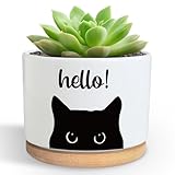 Funny Hello Black Cats Ceramic Plant Pot for Succulent, Cute Cat Cactus Flower Planter for Windowsill Indoor Decor, Home Office Decoration for Plant Lovers Friends Cat Owner Lover (No Plants) (Hello)