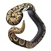 Genérico Broma de serpiente realista Imagen de Genérico Broma de serpiente realista