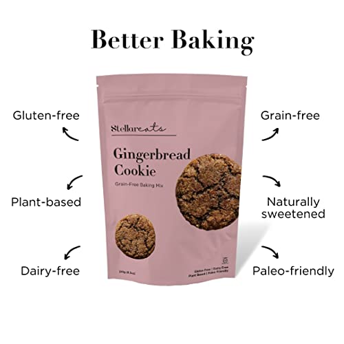 Stellar Eats Gingerbread Cookie Mix, 8.5 Oz, 1 Pack - Grain Free, Gluten Free, Dairy Free, Plant Based, Paleo Friendly #TOP3