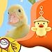 PLwelth Plush Duck Keychain for Women Girls Cute Yellow Duck Keyring Kawaii Keychain for Car Keys Backpack Wallet Bags Funny Duck Charm Accessories Personalized Gifts for Her Birthday Christmas