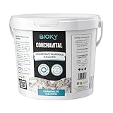 ConchaVital 3kg - Calcio para Gallinas Ponedoras y Otras Aves - Conchilla de Ostra para Piensos con +12 Minerales - Mejora Calidad del Huevo y Productividad, Corrige Carencias Nutricionales