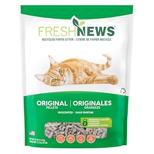 Fresh News Recycled Paper, Original...