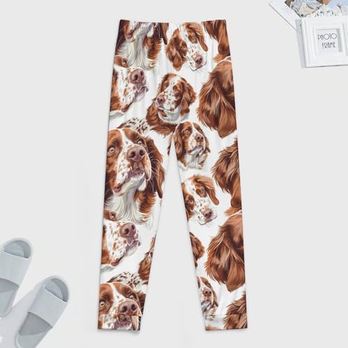 Brittany Spaniel Dog Men's Pajama Pant Soft Patterned Straight-Fit Jogger Sleep Pants Casual Lounge Sleepwear PJs4