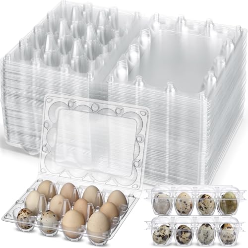 Remerry 60 Pcs Giant Quail Egg Cartons 12 Grids Clear Plastic Stackable Trays for Jumbo Quail Eggs Pigeon Eggs Small Poultry Great for Home Fridge Storage Farm Market Gift Box Packing