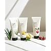 The Face Shop Herb Day 365 Master Blending Cleansing Foam Lemon & Grapefruit | Dead Cells & Makeup Residues Removal with Refreshing Sensation | Skin Residues Removal & Naturally Derived, 5.7 Fl Oz