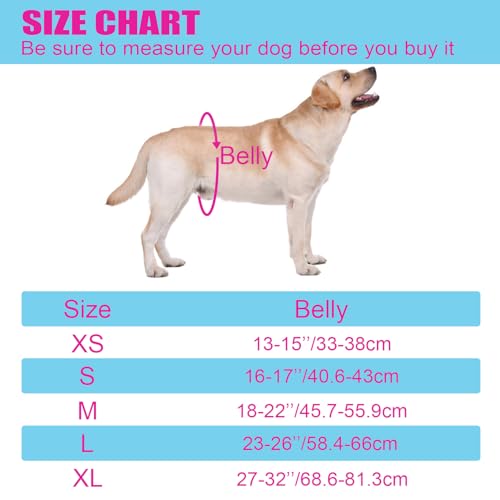 Image of Reusable Female Dog Pants to Prevent Cross-Tailing, Washable Underwear for Dogs in Heat (L, Black)