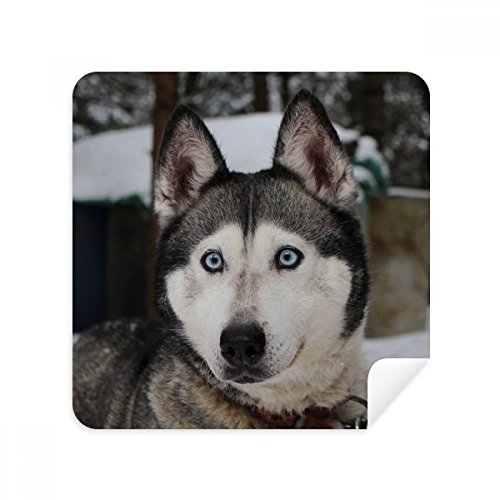 Chiffon de nettoyage en suède Husky pour écrans haute définition