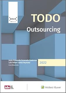 TODO Outsourcing (Spanish Edition)