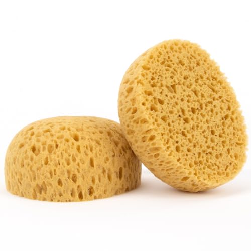 MAQIHAN 2PCS Knockdown Texture Sponge - Drywall Repair Texture Spray Drywall Texture Patch Sponge for Painting Ceiling Wall Knock Down Texture Tool Paint Sponge