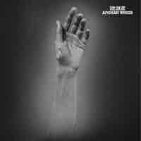 洋楽 AFGHAN WHIGS - UP IN IT LP Afghan Whigs, the - Up In It [VINYL] - Amazon.com Music